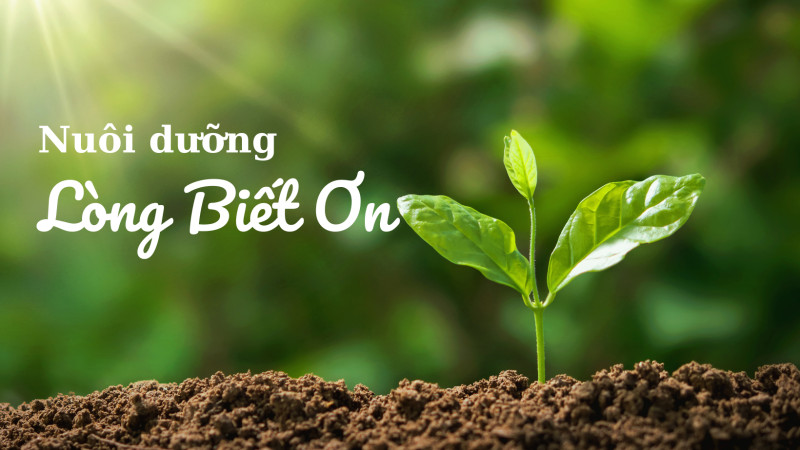 Nuôi dưỡng Lòng Biết Ơn